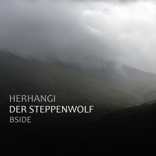 Herhangi - Der Steppenwolf (B Side)
