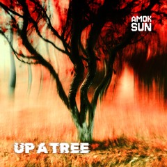 Up a Tree