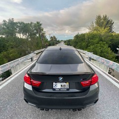 M4ko Shark