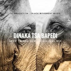 Dinaka tsa Bapedi ( tribe) - Dj Naughty SA - Deep tribal Original mix.mp3