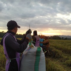 Mauni_Mole_Bukku_Toni  Dianty Oslan🖤🖤