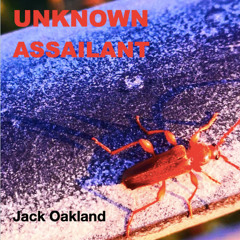 Unknown Assailant