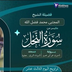 قراءة مميزة ما تيسر من سورة النحل ، تراويح اليوم الثالث عشر رمضان ١٤٤٦هـ | الشيخ مجتبي محمد فضل الله