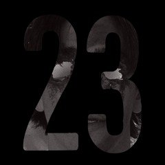 23