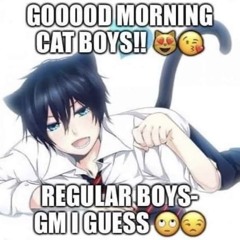 rule 34 be like (im so edgycore)