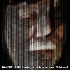 HALERTURSIS_flowkey_x_lil_bowen_leak_2024.mp3