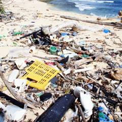 Blackpill Beach