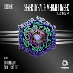 Sezer Uysal, Mehmet Ozbek - Black Mesa (Original Mix)