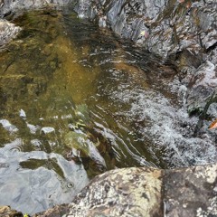 NEGATIVE ions