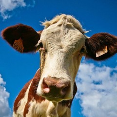 The Way U Move (INSTRUMENTAL)