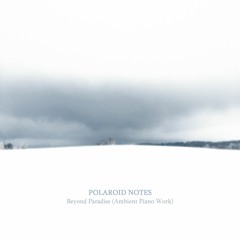 Polaroid Notes - Beyond Paradise