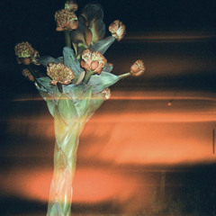 birthdaybash.maui.beats.