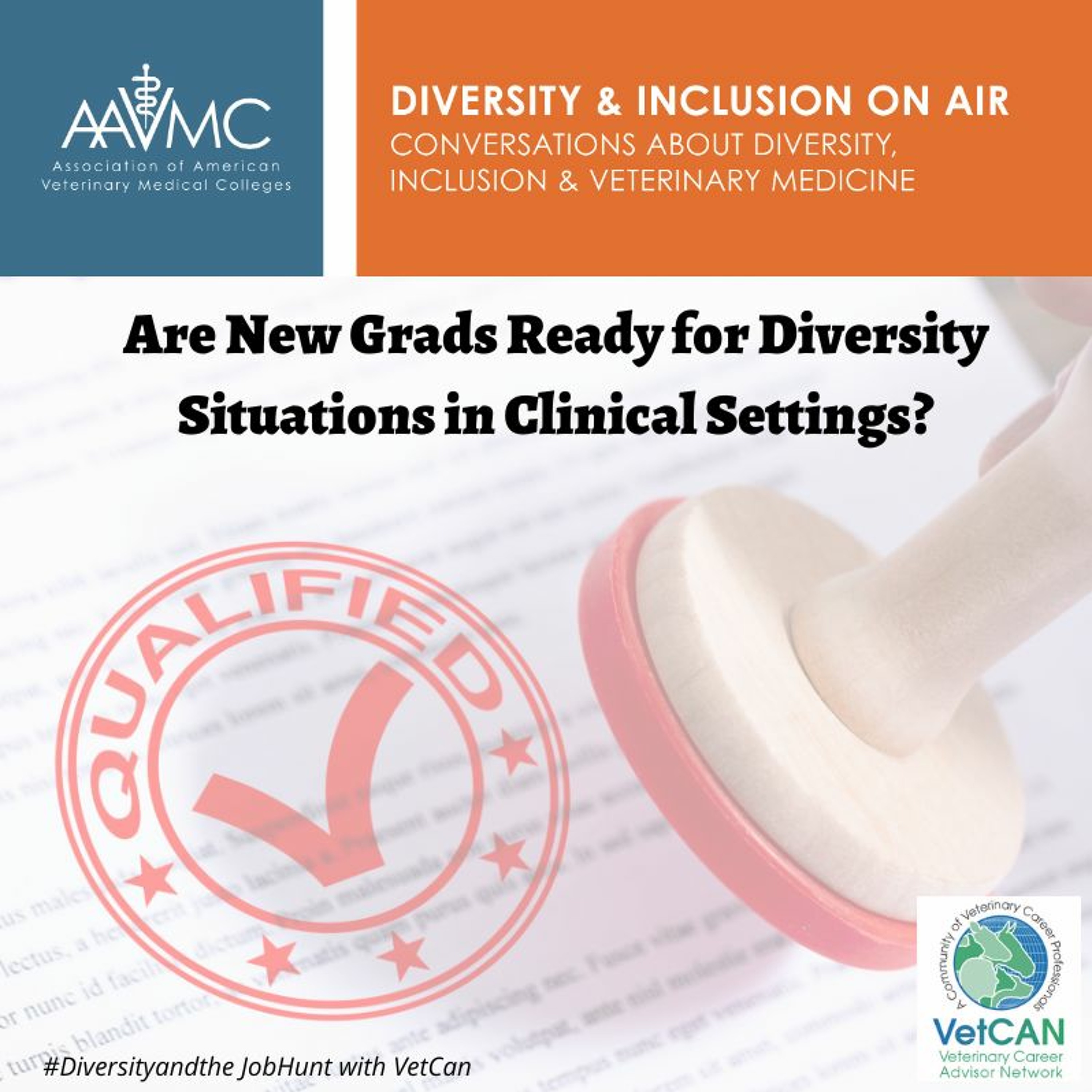 AAVMC\'s On Air: Conversations about Issues in Veterinary Medicine