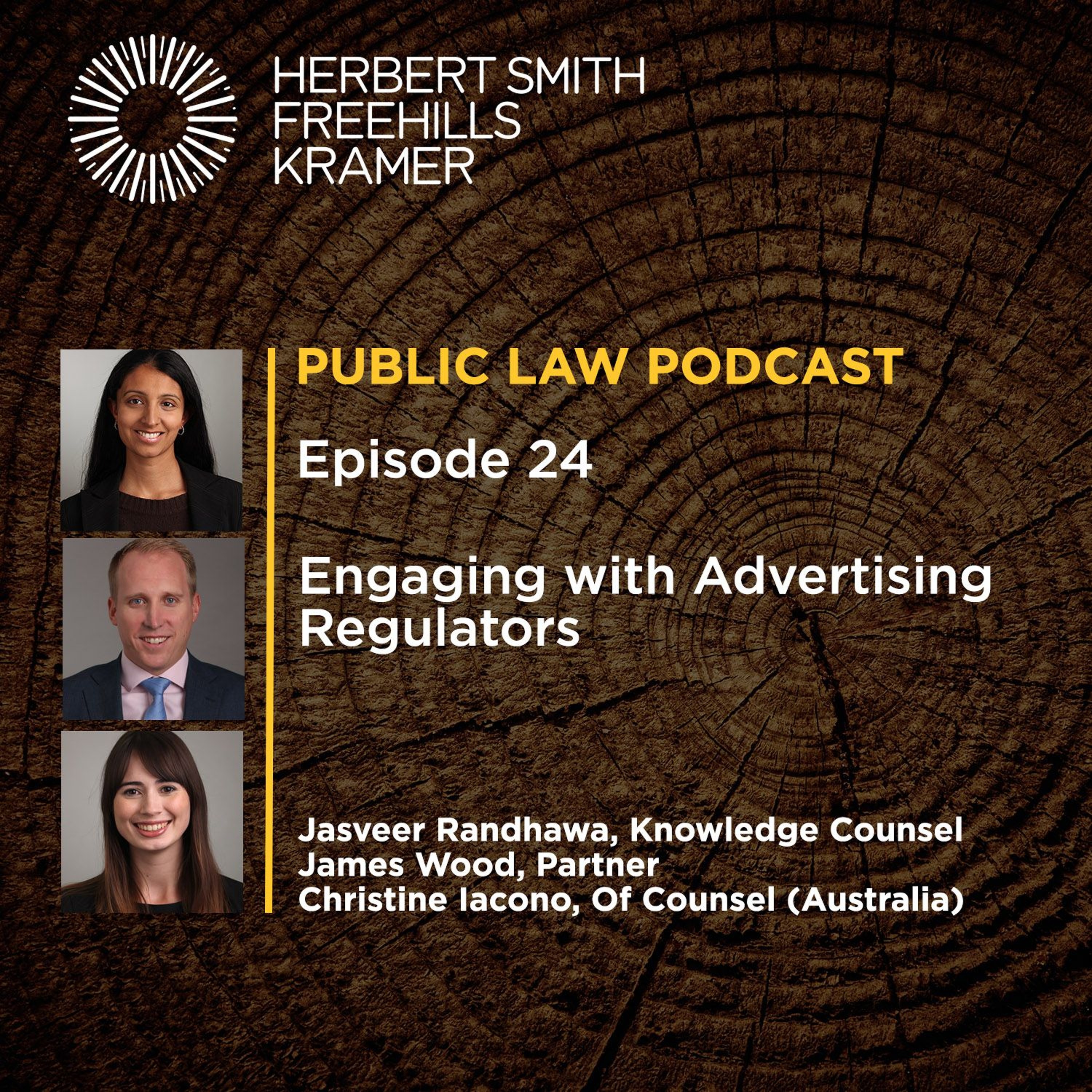 Public Law Podcast EP24: Engaging with Advertising Regulators