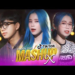 Fin’d Mashup X  Hơn 10 bài HOT trên Tik Tok