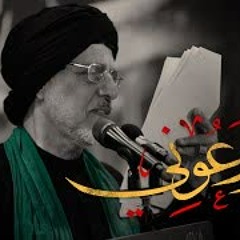 السيد علوي أبو غايب | روعوني | استشهاد السيدة فاطمة الزهراء (ع) 1444هـ