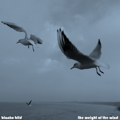 The Weight of the Wind