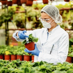 Transforming Qatar's Food Landscape with Moutaz Al Khayyat