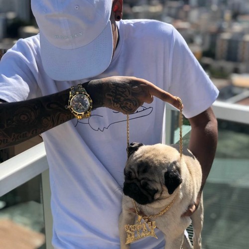 MC FROG - XIA , XIÔ ( DJ STÁY )