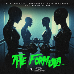 T & Sugah, CONTROL ALT DΞLΞTΞ ft. Kris Kiss - The Formula