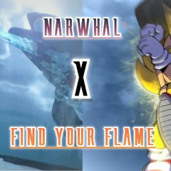 Narwhal X Find Your Flame