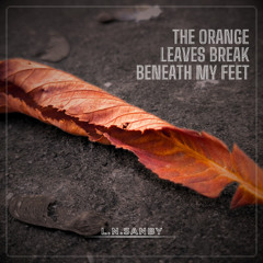 Broken Orange Leaves