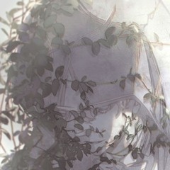 throne [52blu]