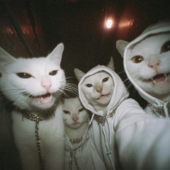 SCARY MONSTERS AND SUEDE SAUTÉ (SKRILLEX REWORK)