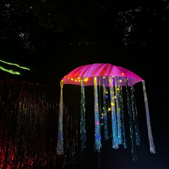TONDA @KF IM WALDE (23. 08. 25)