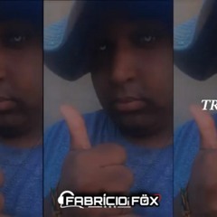 10 + 3 DE AI UM BICHO Vs TROPA DO BX (( DJ FABRÍCÍO FÖX OFCL ))