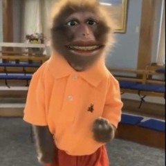 Coochie Man