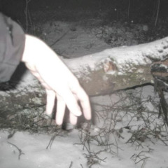 6010157301