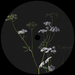 Yulien - Limerencia [CR001]