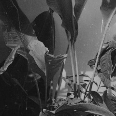 Oh really! - (Skrillah × imakebeatseveryday x gazbrazy)