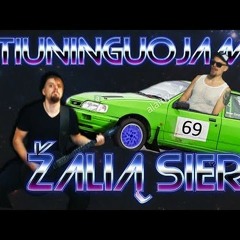 Žalia sierra (DJ Dalgis Metal cover)