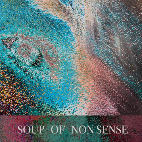 SOUP OF NON-SENSE