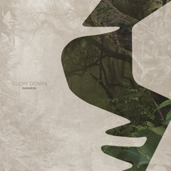 Genesi - Slow Down  [Siona Records]