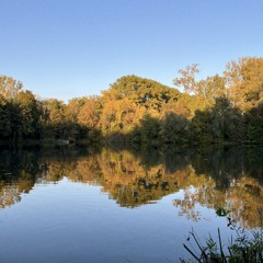 the lake
