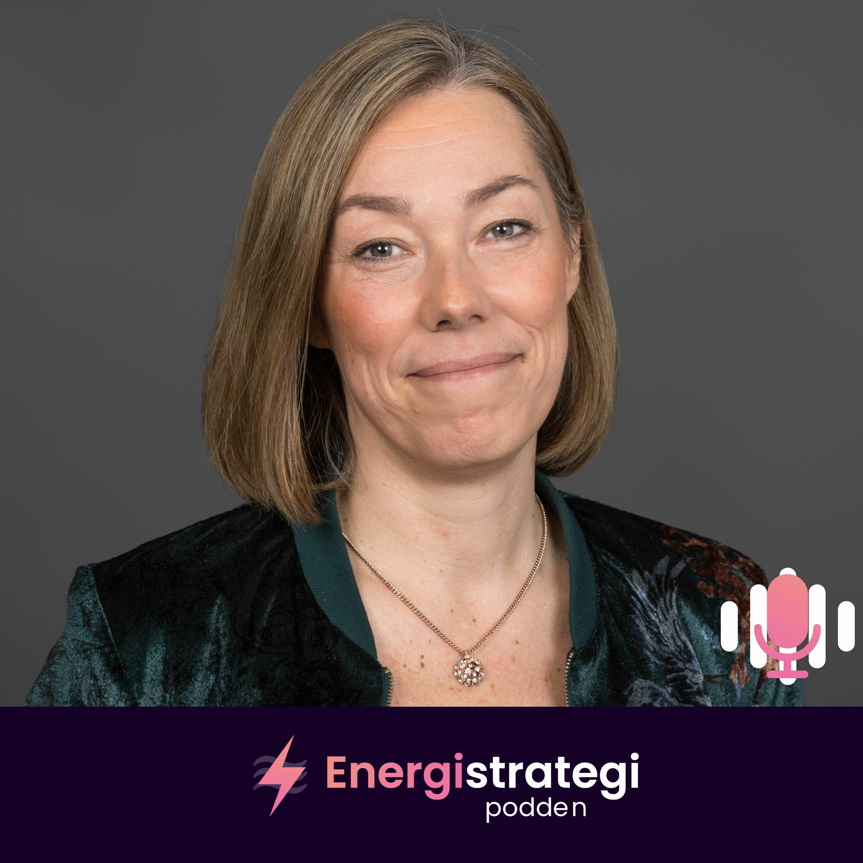 #15 Pernilla Winnhed, Energiföretagen Sverige episode artwork