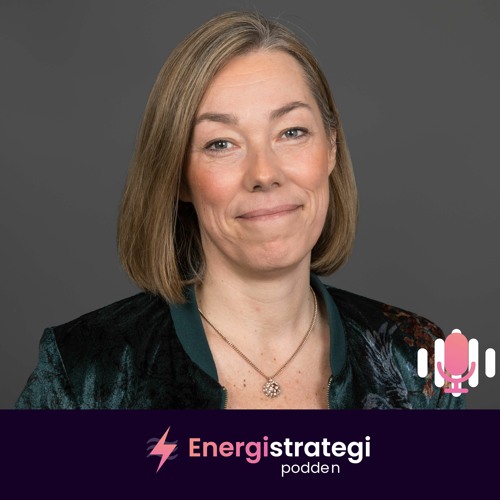 #15 Pernilla Winnhed, Energiföretagen Sverige