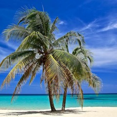 Audiommersion Playlist