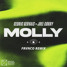 Cedric Gervais X Joel Corry - MOLLY (FRVNCO Remix)