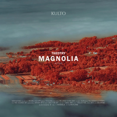 Thedtry - I Love Flying