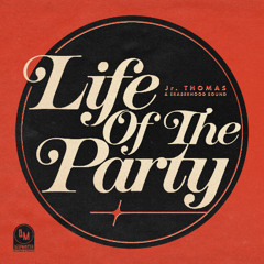 Life Of The Party