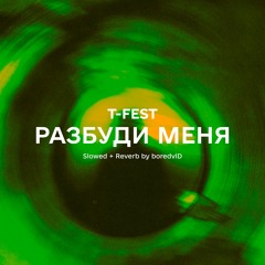 T-Fest - Разбуди меня (Slowed + Reverb)