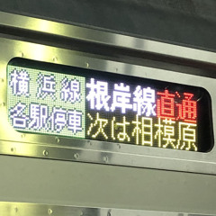 ぷれはぶさん擬態