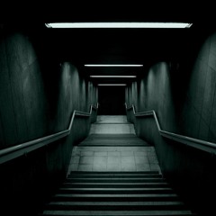 Into The Darkness