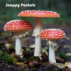 Night Visions -No Drums-