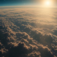 Flight