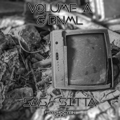 Volume A & Bnml - Sas - Sitta